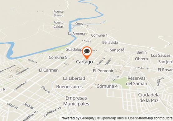 Chat de Cartago