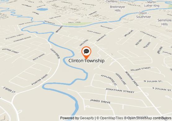 Chat de Clinton Township